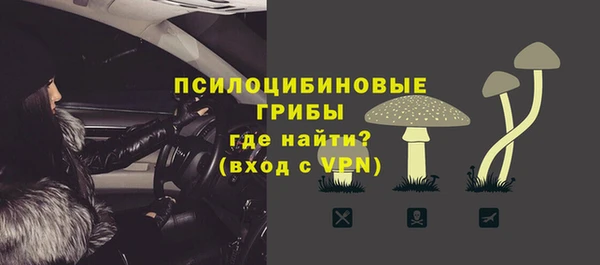 амф Абинск