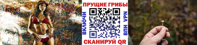 Галлюциногенные грибы Cubensis гидра зеркало Грязи даркнет сайт