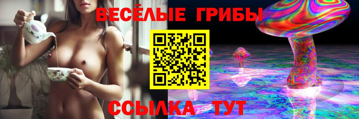 Грязи  Псилоцибиновые грибы Magic Shrooms  Вход с VPN 