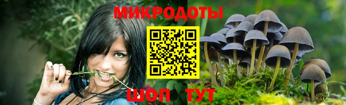 Псилоцибиновые грибы Psilocybine cubensis Грязи